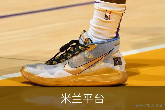 米兰平台公司介绍图片